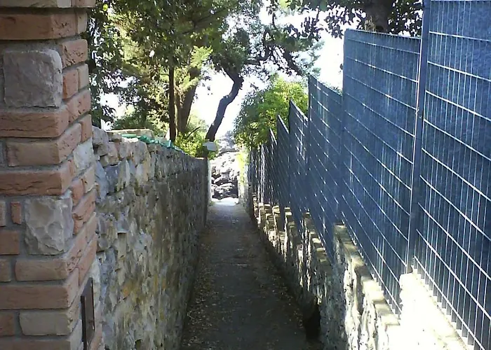 Leccino Sea Cliff Private Garden In Gulf Of Poets *