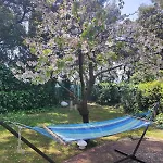 Feriehus Leccino Sea Cliff Private Garden In Gulf Of Poets *