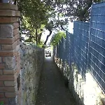 Leccino Sea Cliff Private Garden In Gulf Of Poets *