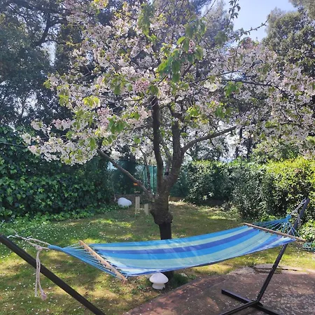 Hébergement de vacances Leccino Sea Cliff Private Garden In Gulf Of Poets *
