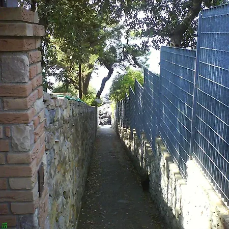 Leccino Sea Cliff Private Garden In Gulf Of Poets *